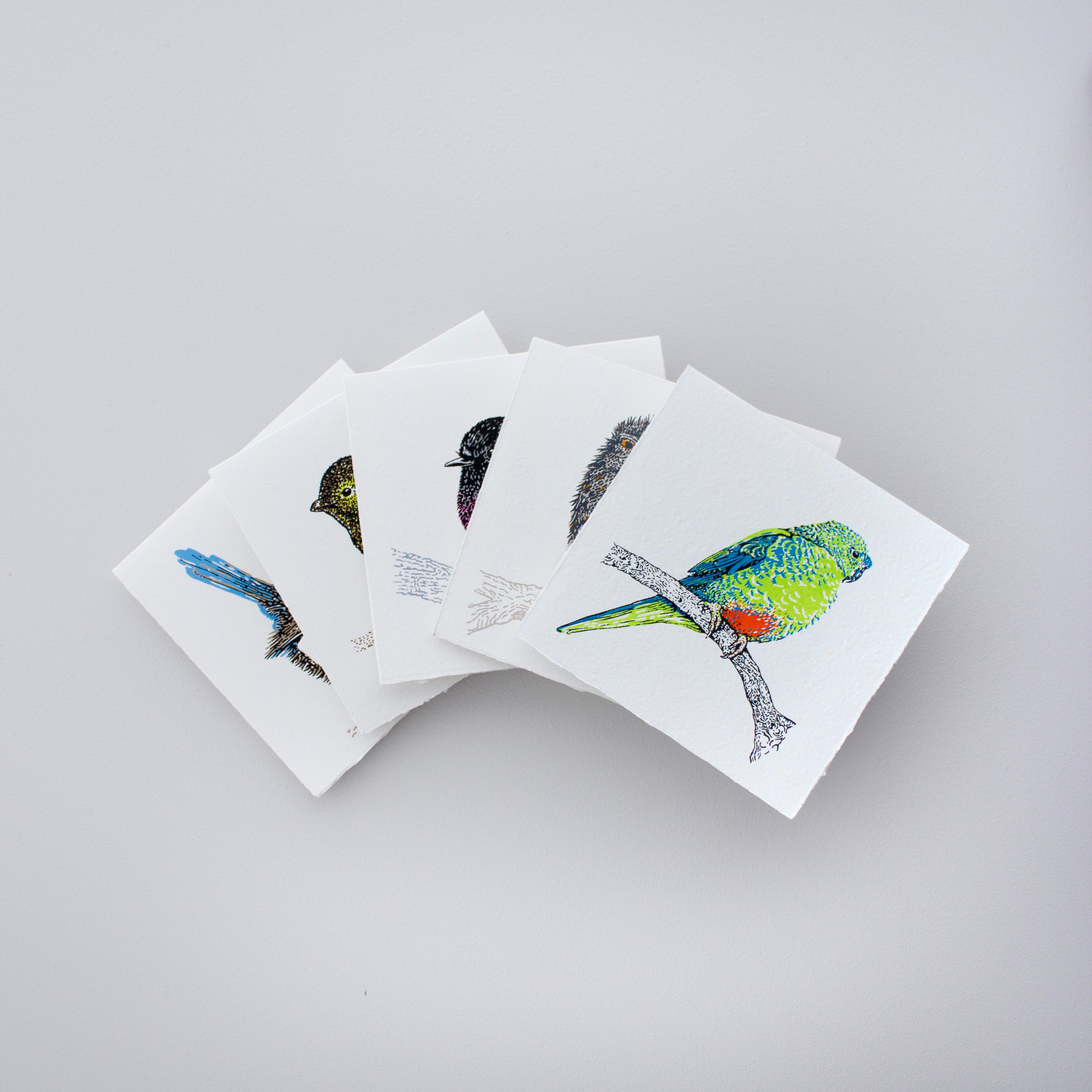 Boxed Set Tasmanian Birds