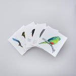 Load image into Gallery viewer, Boxed Set Tasmanian Birds
