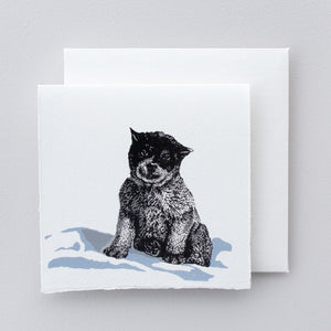 Boxed Set of Antarctic designs