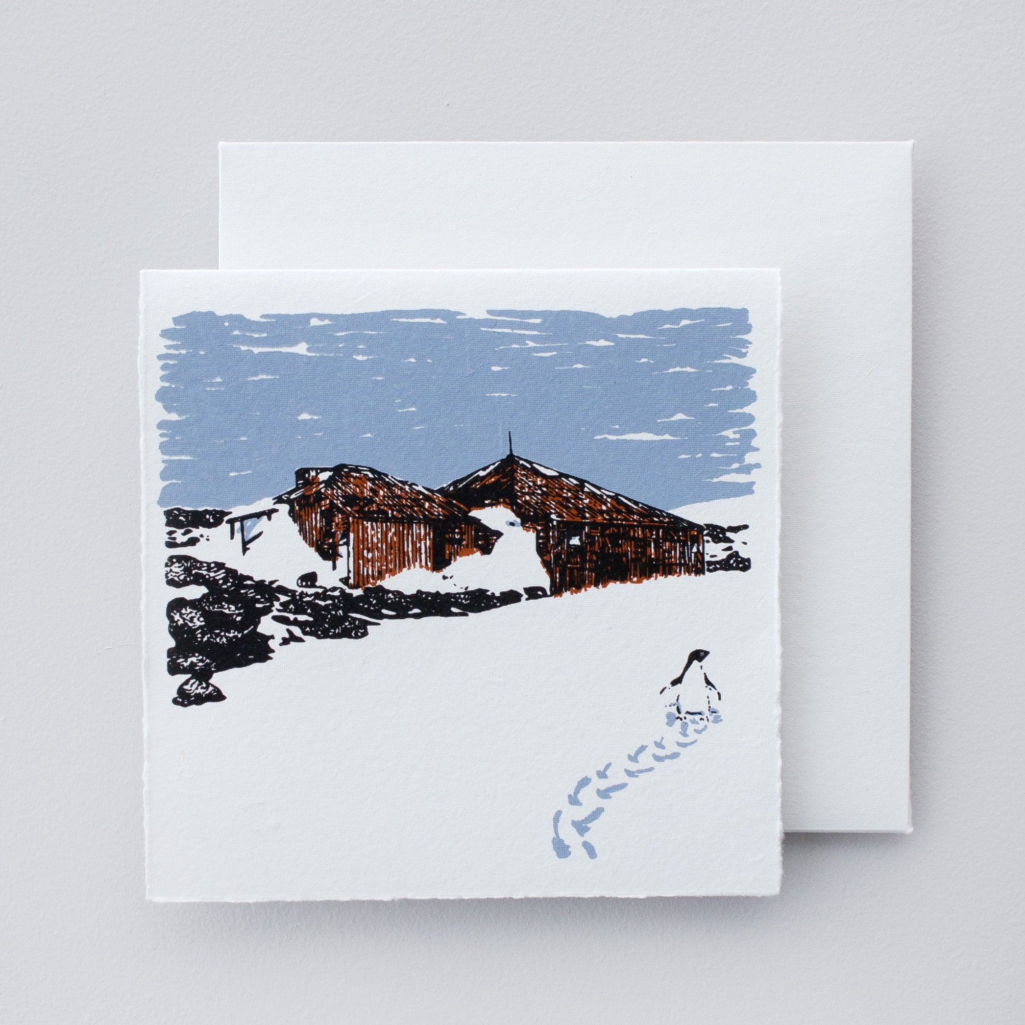 Boxed Set of Antarctic designs
