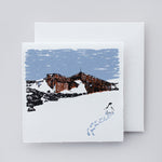 Load image into Gallery viewer, Boxed Set of Antarctic designs
