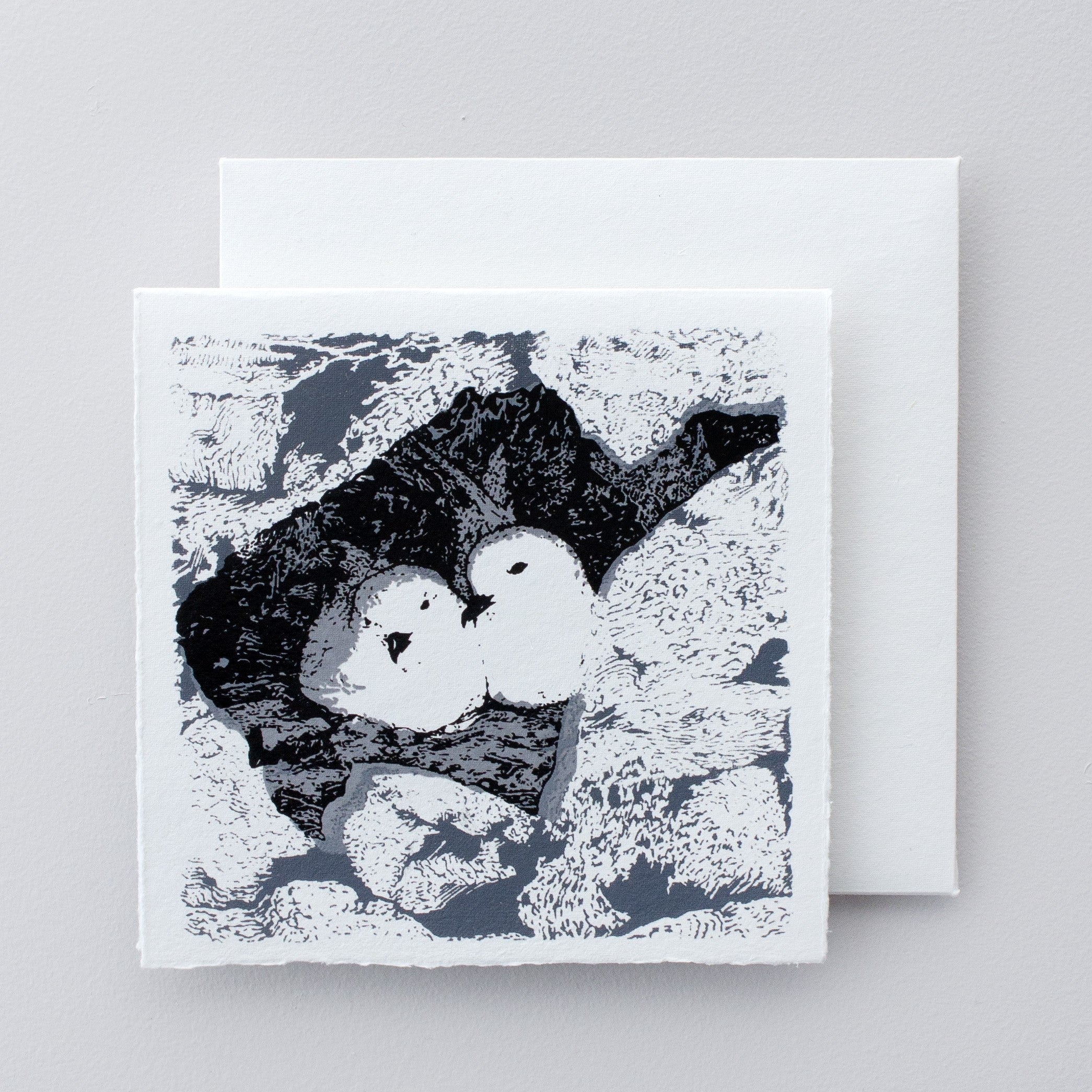 Boxed Set of Antarctic designs