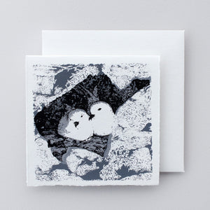 Boxed Set of Antarctic designs