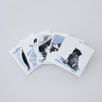 Load image into Gallery viewer, Boxed Set of Antarctic designs
