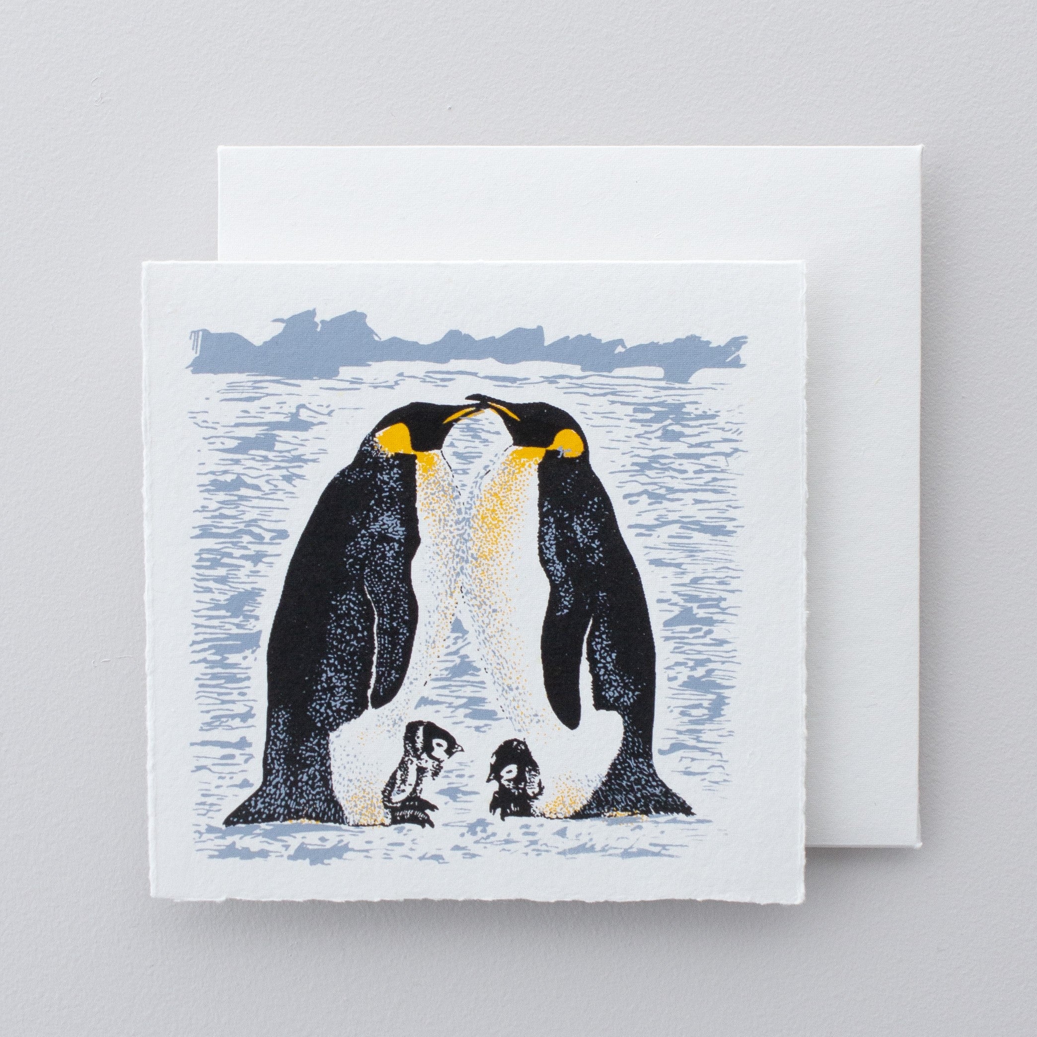 Boxed Set of Antarctic designs