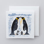 Load image into Gallery viewer, Boxed Set of Antarctic designs
