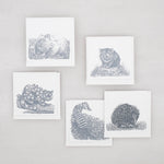 Load image into Gallery viewer, Boxed set Tasmanian native animal designs
