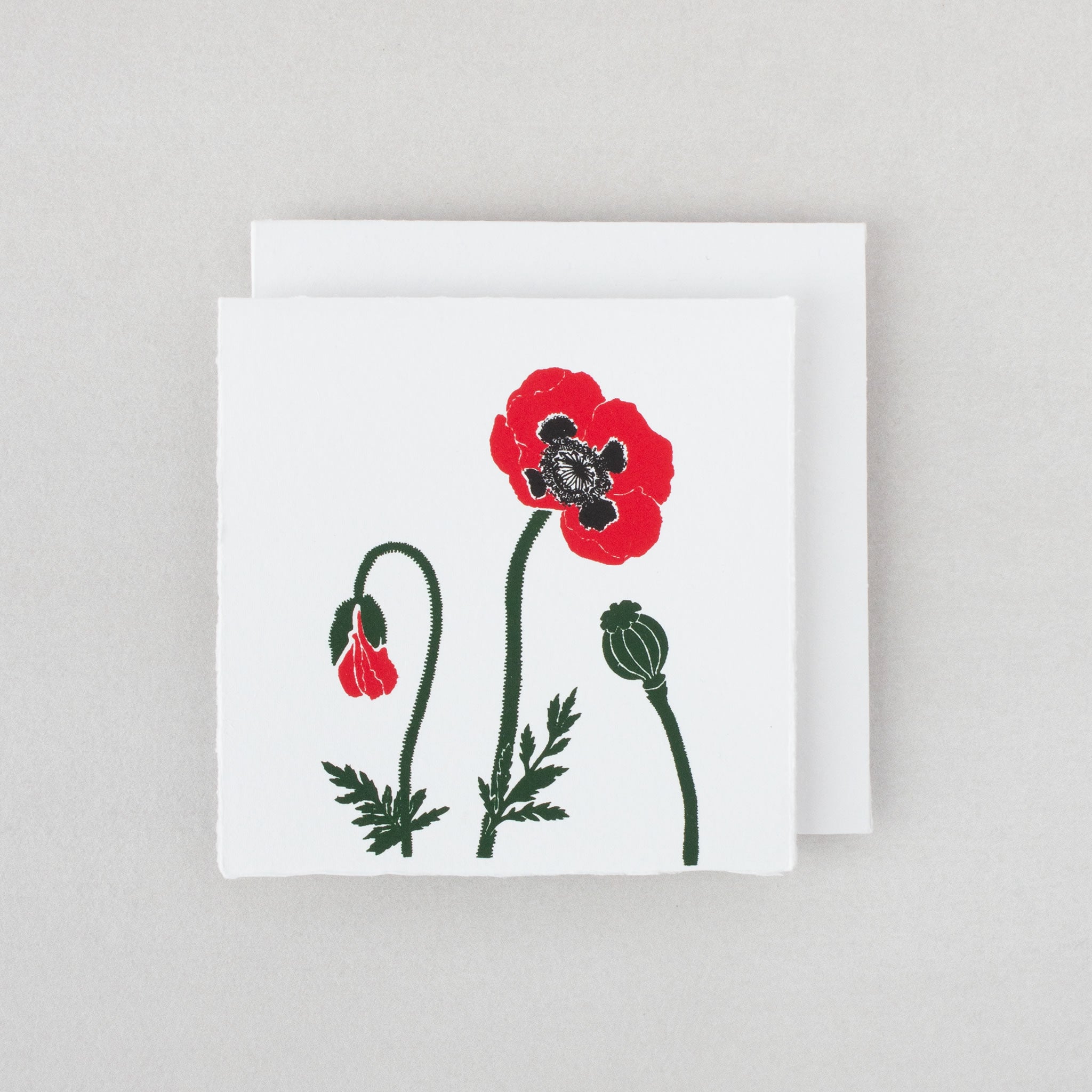 Boxed set poppies